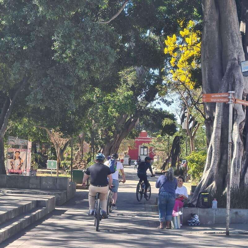 Oaxaca City: Bike Tour with Professional Guide+Art workshop - Who Should Consider This Tour?
