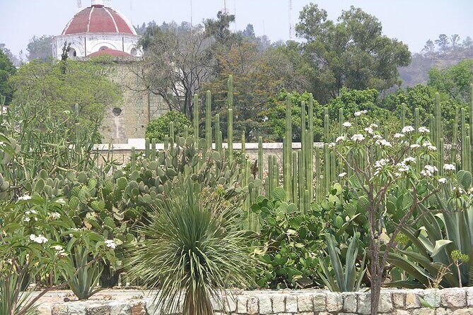 Oaxaca City tour - Santo Domingo museum & the colorful market - The Authentic Flavors and Sites