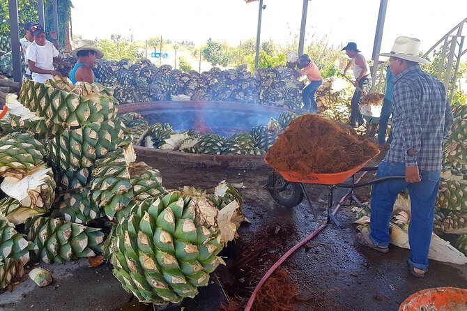 Oaxaca Conmigo Private Tours - Who Will Love This Tour?