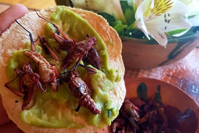 Oaxaca Conmigo Private Tours - The Sum Up