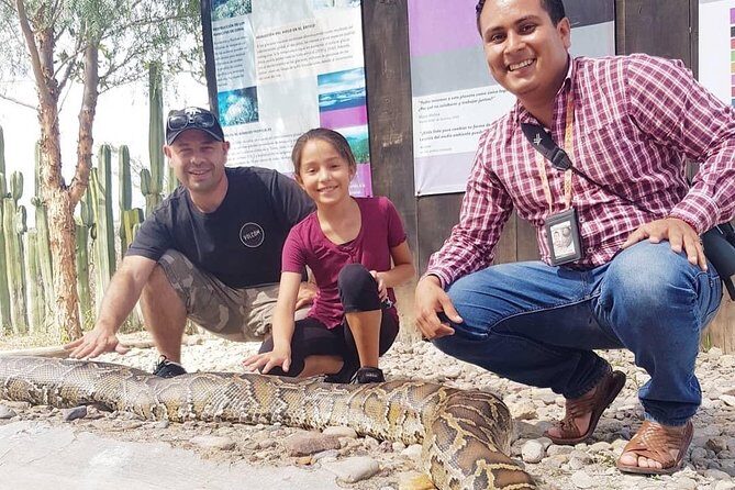 Oaxaca Conmigo Private Tours - FAQ