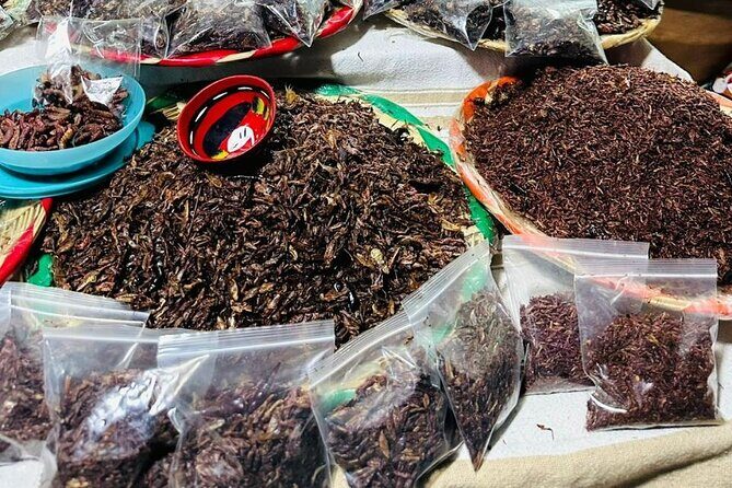 Oaxaca Day Trip Markets Hierve el Agua and Mezcal Tasting - Who Should Consider This Tour?