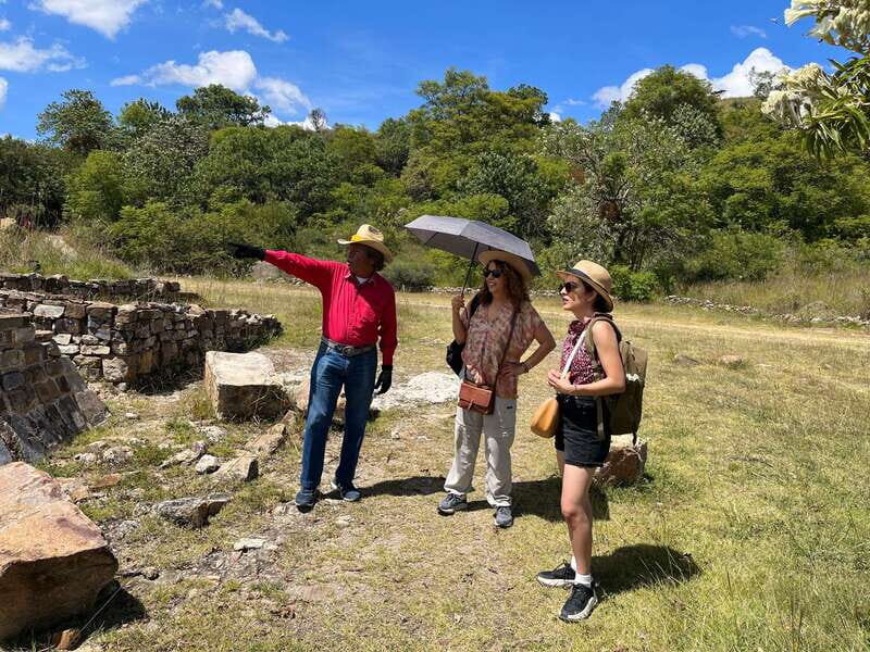 Oaxaca de Juarez: Monte Alban Half-Day Tour - The Cost and Overall Value
