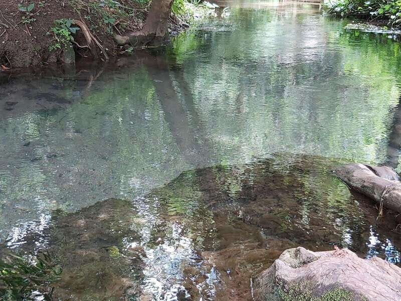 Oaxaca: Ejutla Canyon 1 Day Bike Tour - A Delicious Cultural Experience