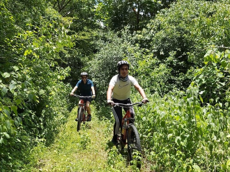 Oaxaca: Ejutla Canyon 1 Day Bike Tour - Authentic Experiences & What Travelers Say