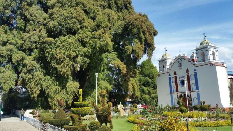 Oaxaca: El Tule, Mitla, and Hierve el Agua Tour with Mezcal - Hierve el Agua: Natural Beauty and Refreshing Pools