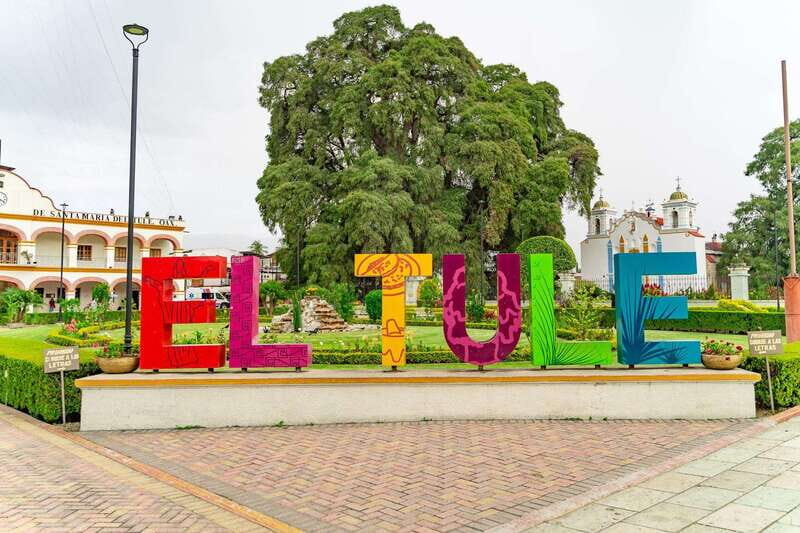 Oaxaca: El Tule tree, Teotitlan Village & Mezcal Tour - Detailed Breakdown of the Itinerary