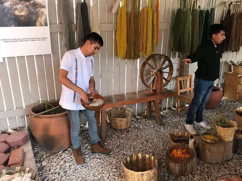 Oaxaca: El Tule tree, Teotitlan Village & Mezcal Tour - Authenticity and Value