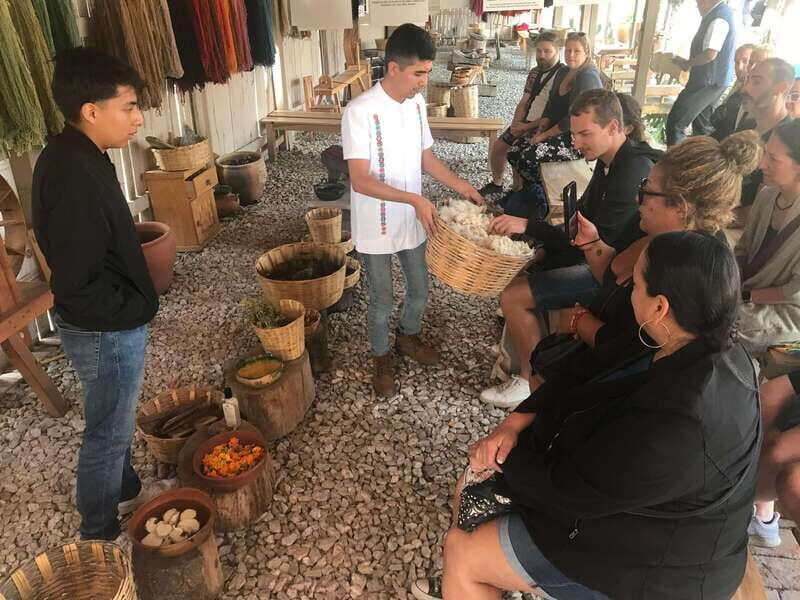 Oaxaca: El Tule tree, Teotitlan Village & Mezcal Tour - Who Will Love This Tour?