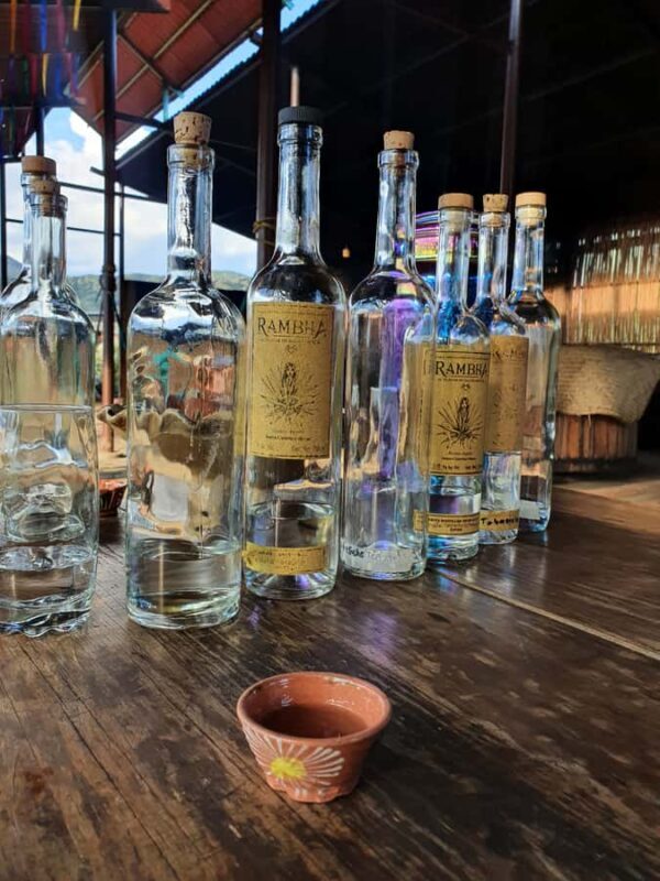 Oaxaca: Empowering Women Private Tour - Who Should Consider This Tour?