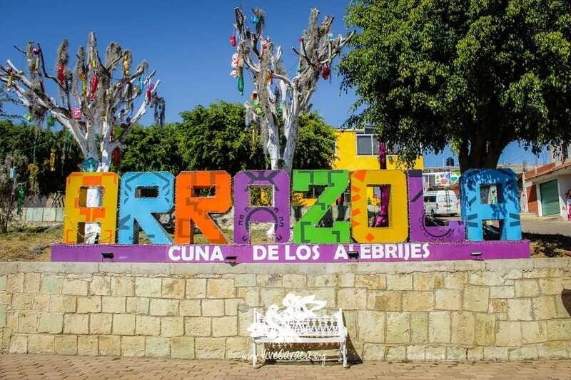 Oaxaca: Exclusive Monte Albán Empire Tour - Final thoughts