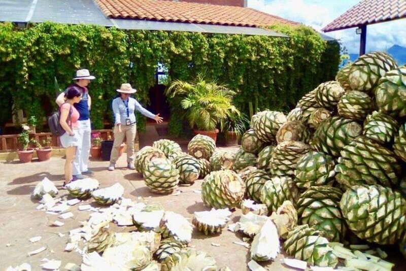 Oaxaca: Exclusive Private Yagul UNESCO Heritage Site Tour - Authentic Experiences Worth Noting