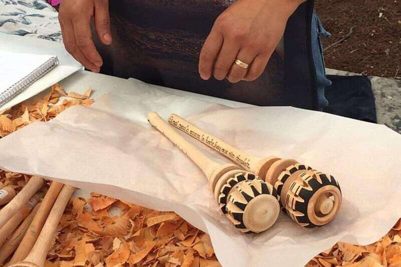 Oaxaca: Forest and Nature Walking Experience - Key Points