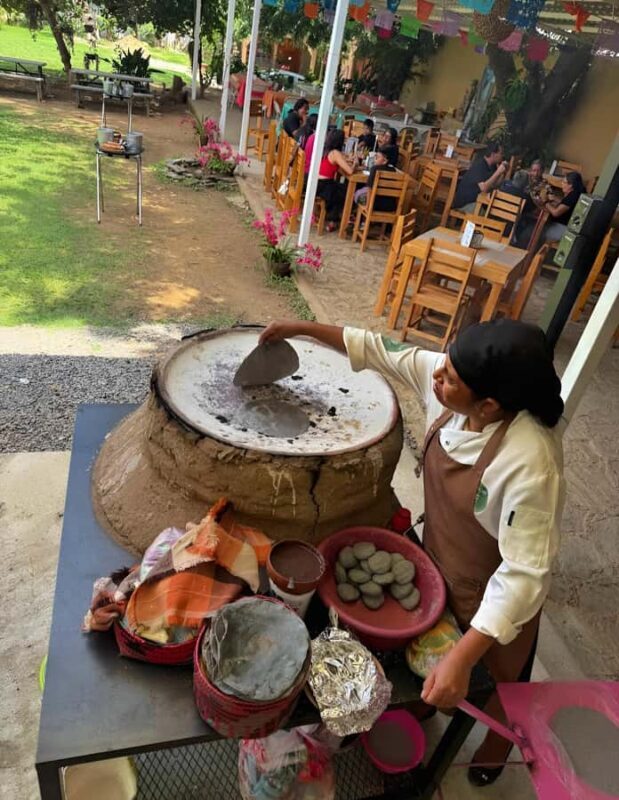 Oaxaca: full-day tour of Monte Alban, ancestral mezcal, alebrijes, and black mud - Key Points