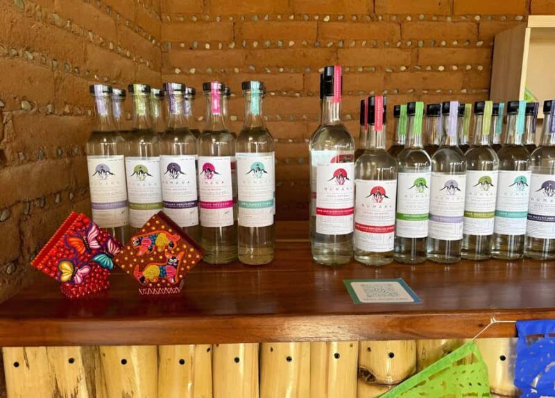 Oaxaca: full-day tour of Monte Alban, ancestral mezcal, alebrijes, and black mud - Discovering Ancestral Mezcal