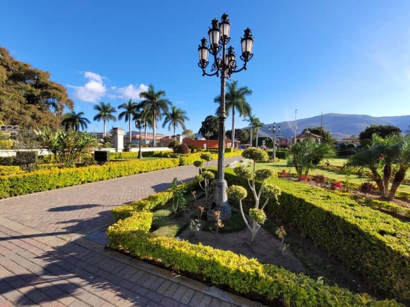 Oaxaca: Guided Bike Tour to the Largest Tree in the World - What Makes This Tour Special