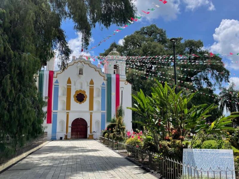Oaxaca: Guided Bike Tour to the Largest Tree in the World - Final Thoughts