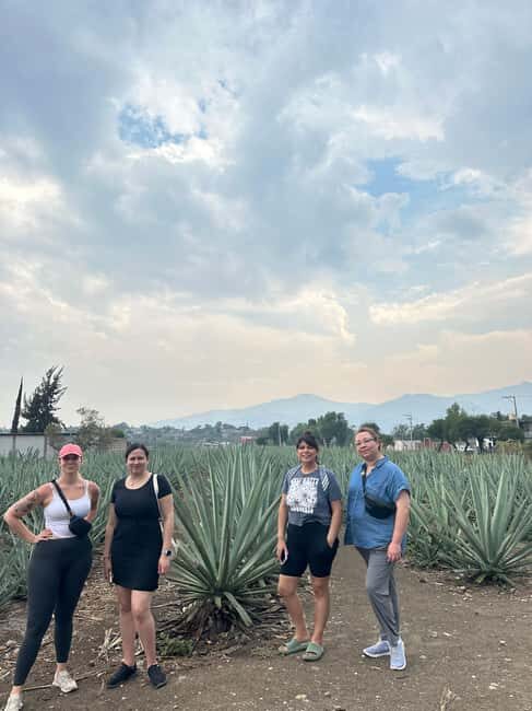 Oaxaca: Hierve el Agua & Mezcal Distillery Small-Group Tour - The Transportation & Group Size