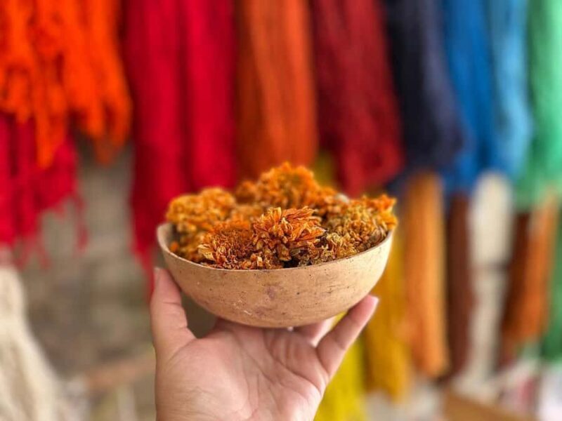 Oaxaca Hierve el Agua, Mitla, Árbol del Tule & Mezcal All-Inclusive - Authentic Experiences That Stand Out