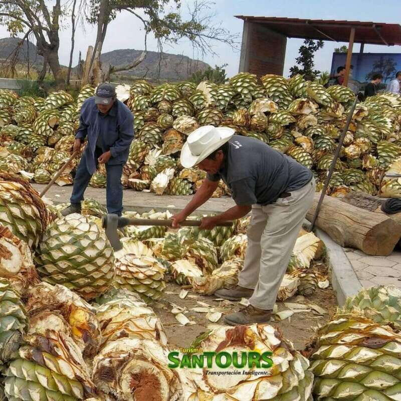 Oaxaca: Hierve el Agua Tour - Who Will Love This Tour?