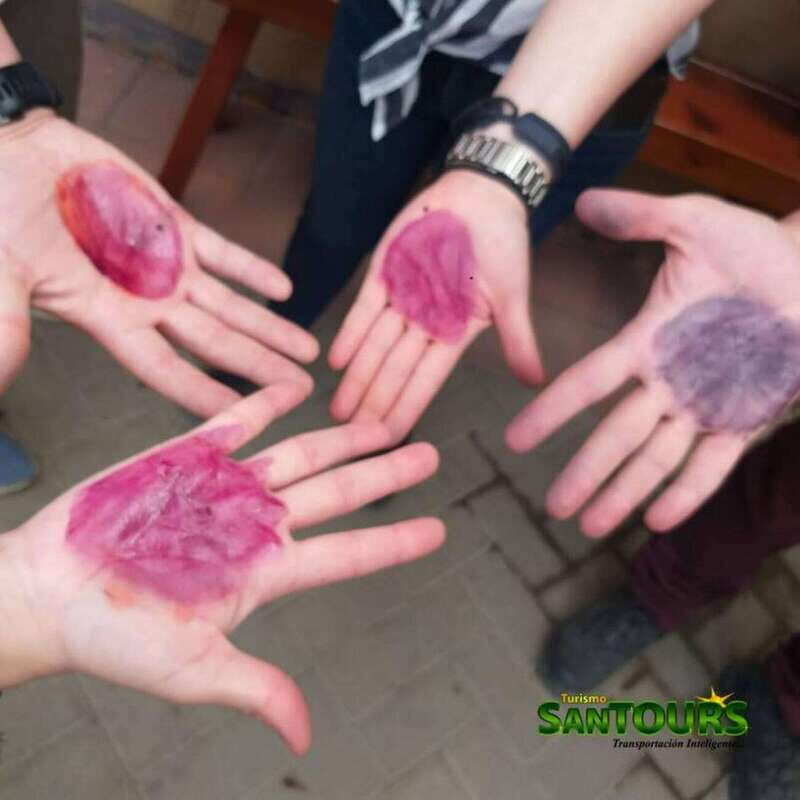 Oaxaca: Hierve el Agua Tour - The Sum Up: Who Should Book This Tour?