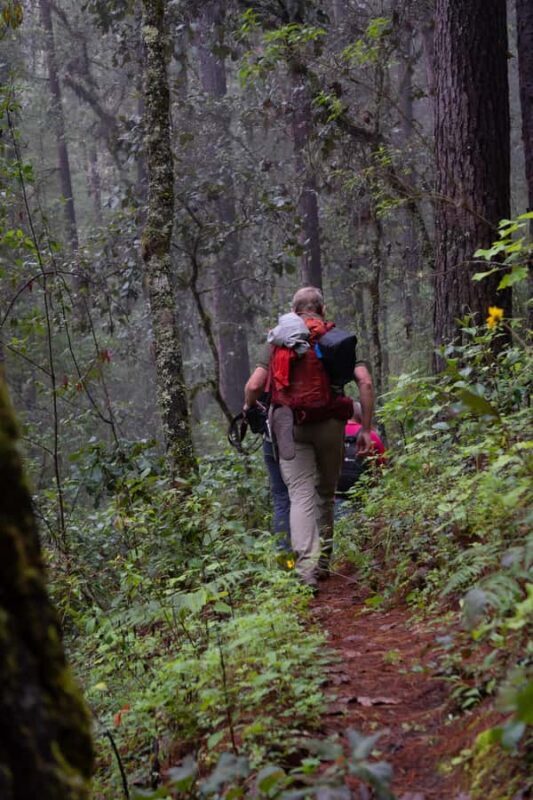 Oaxaca: Hiking Tour In the Sierra Norte With Lunch - The Historic Camino Real – Walking Through Time and Nature