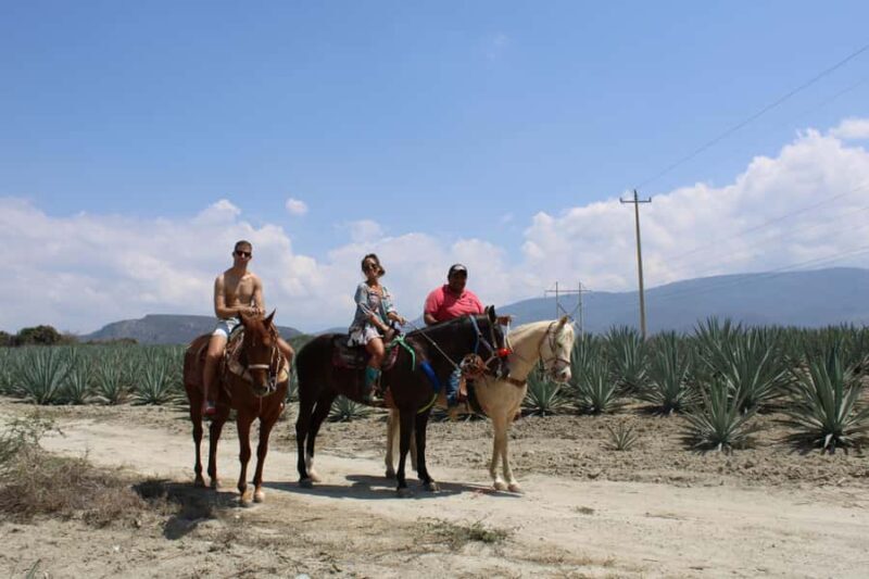 Oaxaca: Horseback Riding and Mezcal Tasting Tour - Key Points