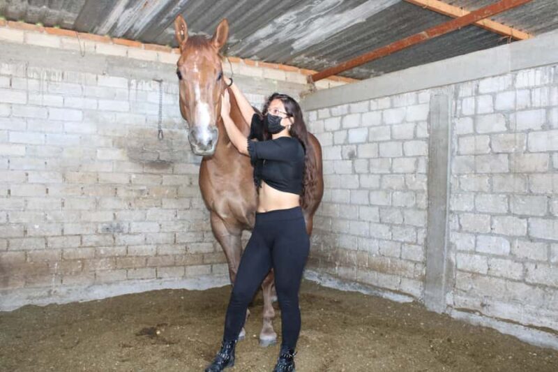 Oaxaca: Horseback Riding and Mezcal Tasting Tour - Visiting the Mezcal Distillery