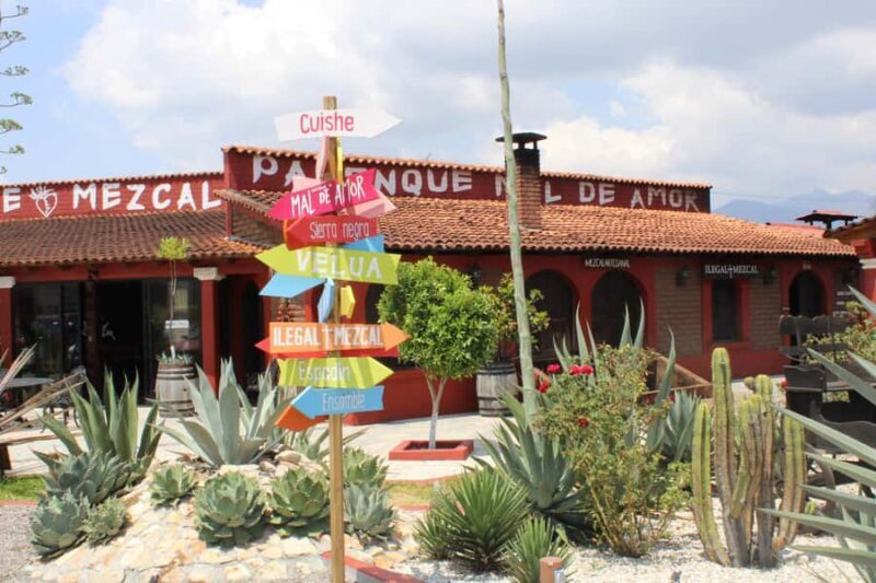 Oaxaca: Horseback Riding and Mezcal Tasting Tour - Who Is This Tour Best For?