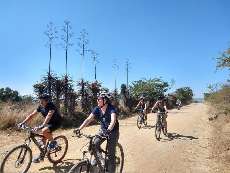 Oaxaca: La Culebra - Hierve el Agua 1 Day Tour. - Final Thoughts