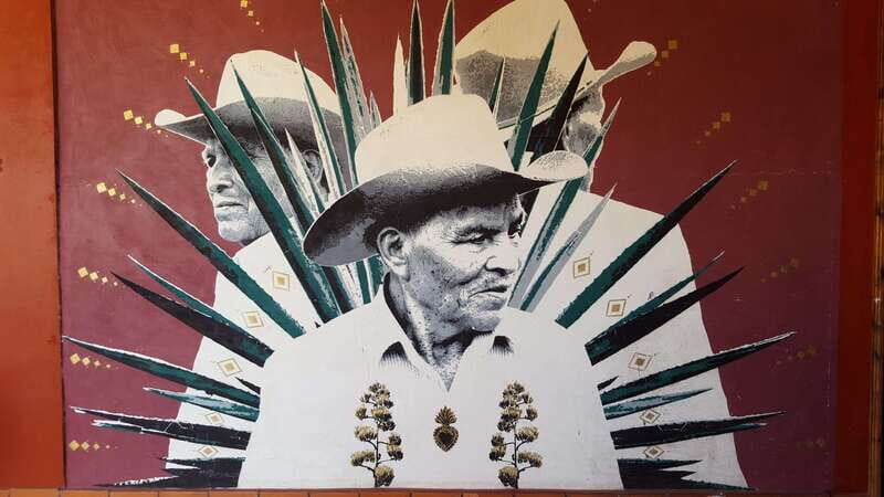 Oaxaca: Mezcal Adventure - Who Should Consider This Tour?