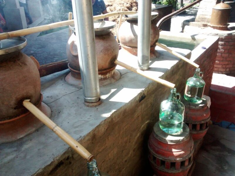 Oaxaca: Mezcal Adventure - FAQs