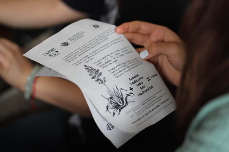 Oaxaca: Mezcaleria in the City Walking Tour - Key Points