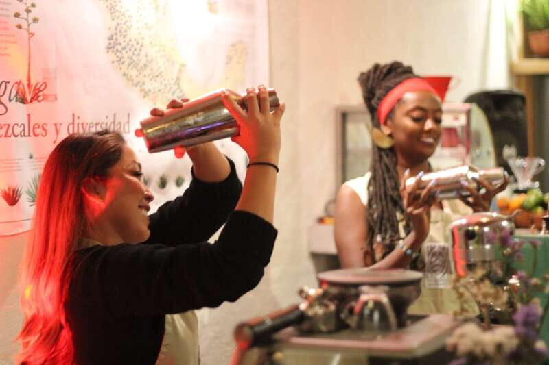 Oaxaca: Mixology Workshop with Organic Mezcal - Accessibility and Practicalities