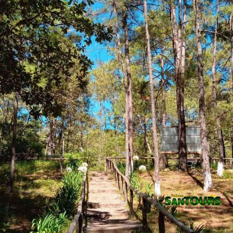 Oaxaca: Monte Albán Archaeological Tour - Summary: Is This Tour Right for You?