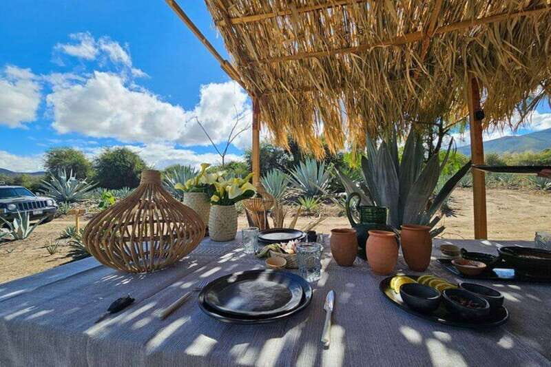 Oaxaca: Private Lunch in Maguey Fields with Mezcal Tasting - An Authentic Taste of Oaxaca’s Agave and Cuisine
