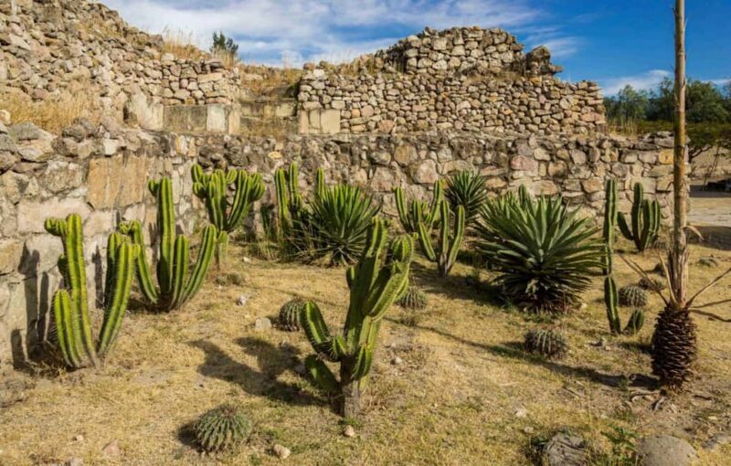 Oaxaca: Private Mitla Tour with Chocolate Tasting by Car - What to Consider