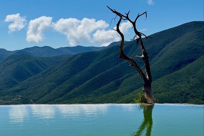 Oaxaca Private Tour 3 Days Monte Albany and Mitla and City - The Itinerary in Detail: What to Expect