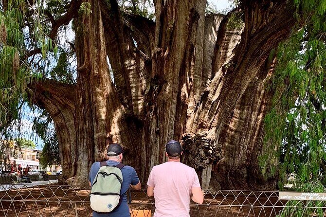 Oaxaca Private Tour 3 Days Monte Albany and Mitla and City - Pricing and Value