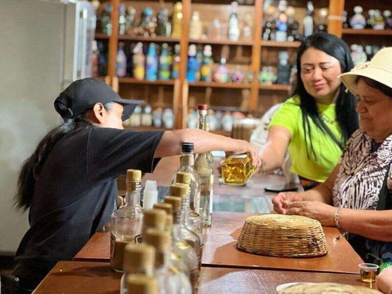 Oaxaca: Private Tour Esencia de Oaxaca - Exploring Oaxaca: What You’ll Actually Do and Experience