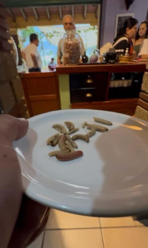 Oaxaca: Private tour to Monte Albán, El Tule Tree, and Teotitlán - Authenticity and Value