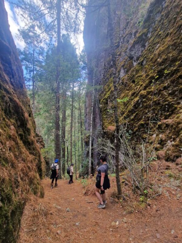 Oaxaca: Pueblos Mancomunados Hiking Tour - Key Points