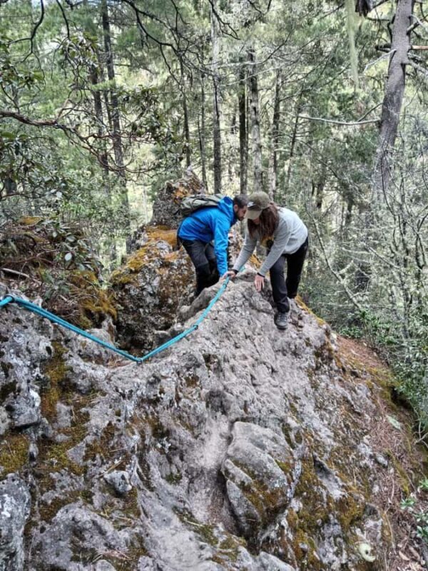 Oaxaca: Pueblos Mancomunados Hiking Tour - Practical Details & Value