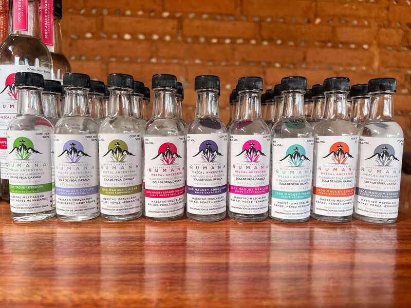 Oaxaca: Raíces Oaxaqueñas (Monte Alban) - Practical Details & Expectations