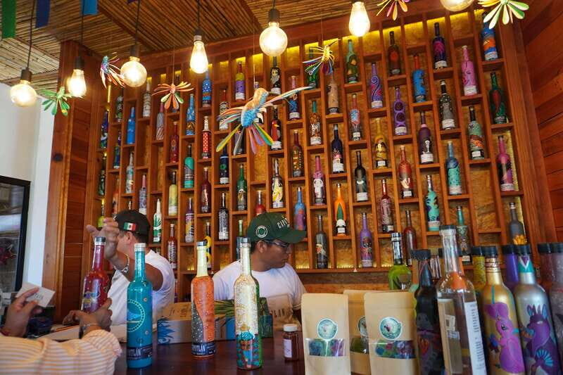 Oaxaca: Raíces Oaxaqueñas (Monte Alban) - Final Thoughts