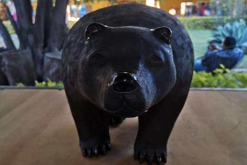 Oaxaca: Raíces Oaxaqueñas (Monte Alban) - FAQs