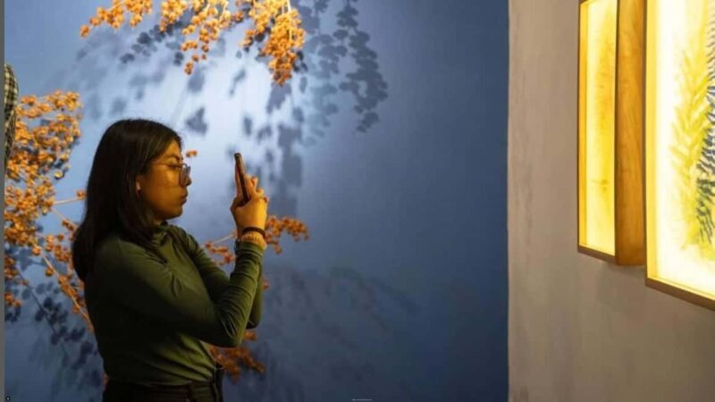 Oaxaca Renowned Art Galleries and Traditions in Private Tour - What Travelers Say