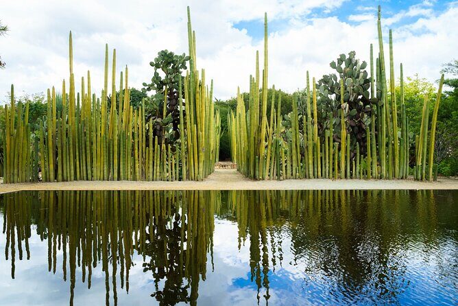Oaxaca Scavenger Hunt and Sights Self Guided Tour - Why We Love This Experience