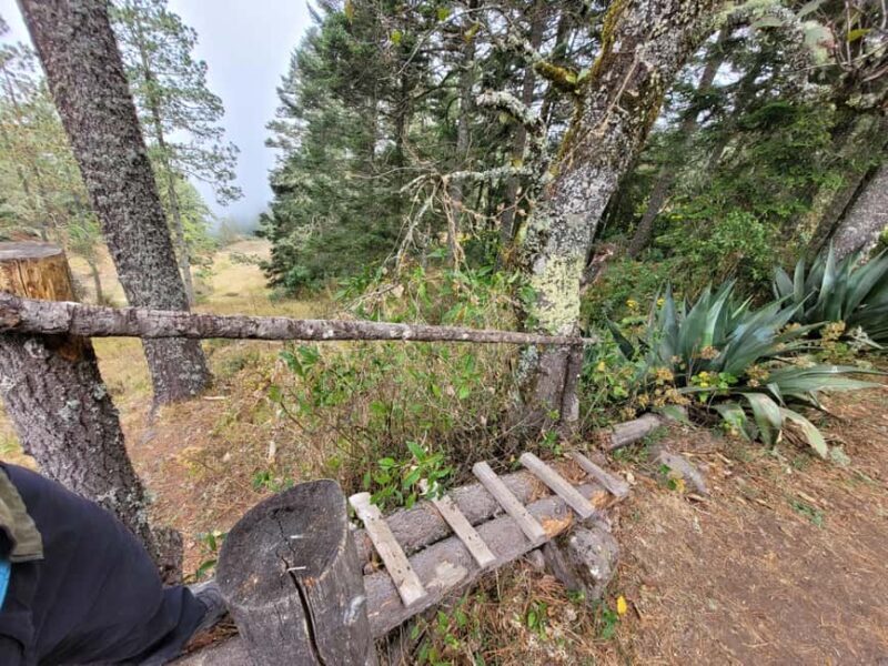 Oaxaca: Sierra Norte Ixtepeji Guided Hike & Lunch, Half-Day - Final Thoughts