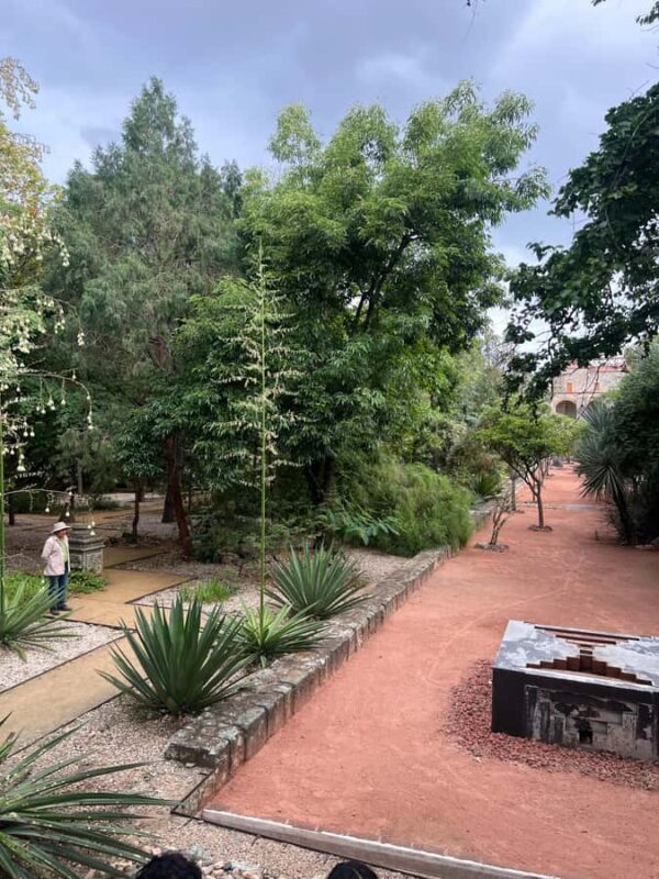 Oaxaca Walking Tour - The Practicalities: Group Size, Cost, and Duration